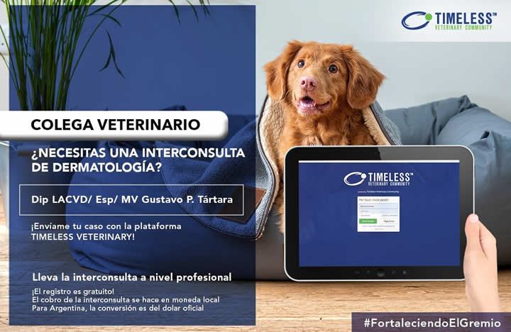 Interconsulta Timeless