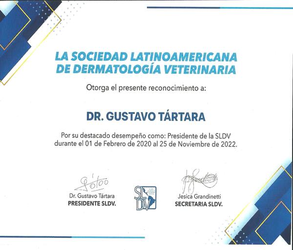 Diploma congreso 1